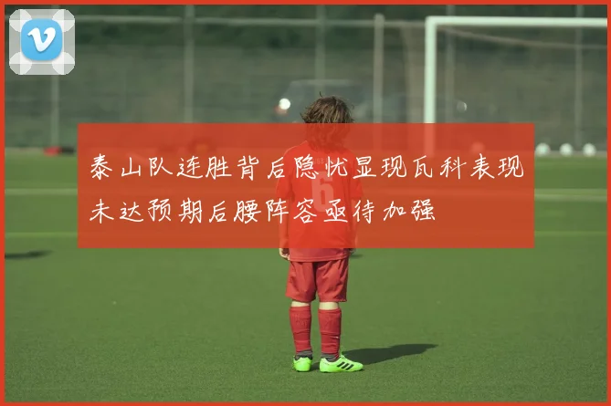 泰山队连胜背后隐忧显现瓦科表现未达预期后腰阵容亟待加强